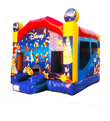 Castillo de salto inflable con toboganes para niños de Disneyland
