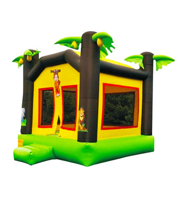 Palma Pequeña Casa Comercial de Salto Niños Castillo de Salto
