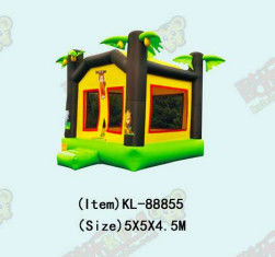 Palma Pequeña Casa Comercial de Salto Niños Castillo de Salto