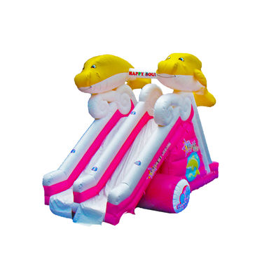 Dolphin doble carril tobogán inflable para niños parque de diversiones