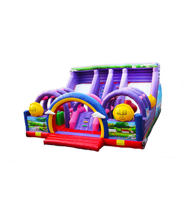 Personaliza grandes toboganes de dos carriles de color púrpura de salpicador inflable