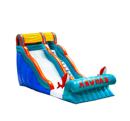 Deslizador inflable personalizable con colores brillantes Parques de diversiones